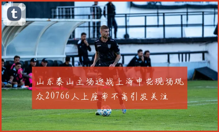 山东泰山主场迎战上海申花现场观众20766人上座率不高引发关注