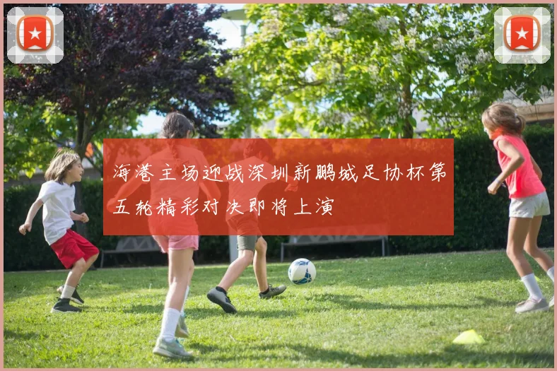 海港主场迎战深圳新鹏城足协杯第五轮精彩对决即将上演
